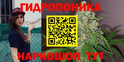 метадон Кимры