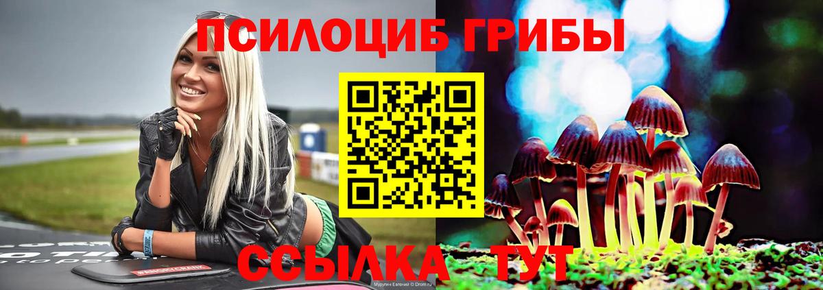 Галлюциногенные грибы Psilocybe Реж